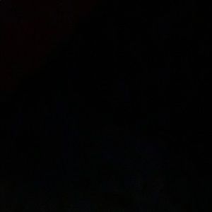 Meet your Posher, Tashna